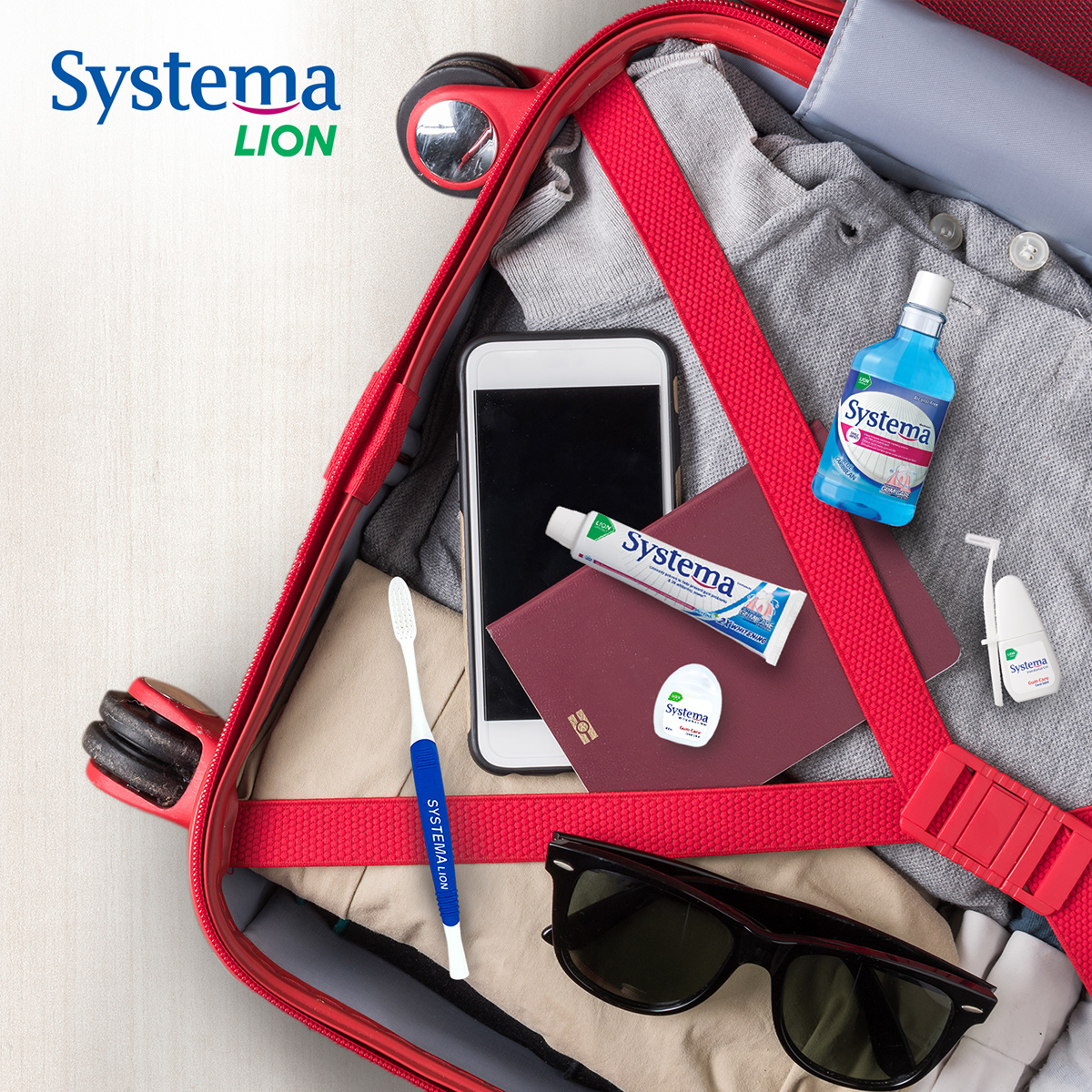 Systema Lion Travel Kit 1